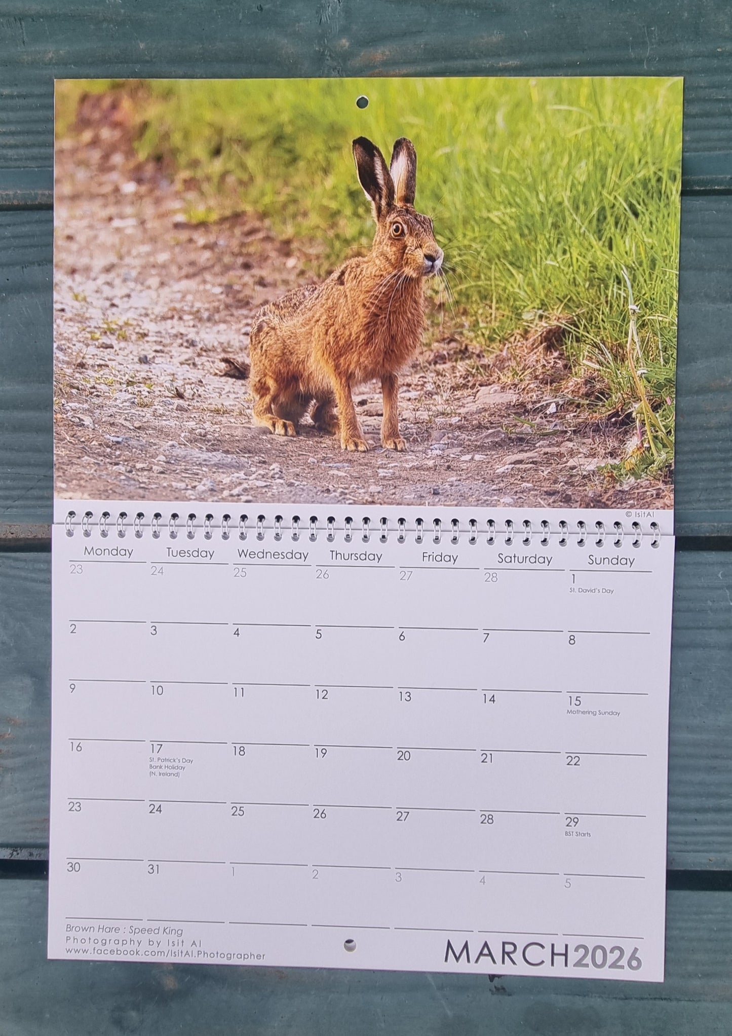 Double Vision Calendar Set 2026