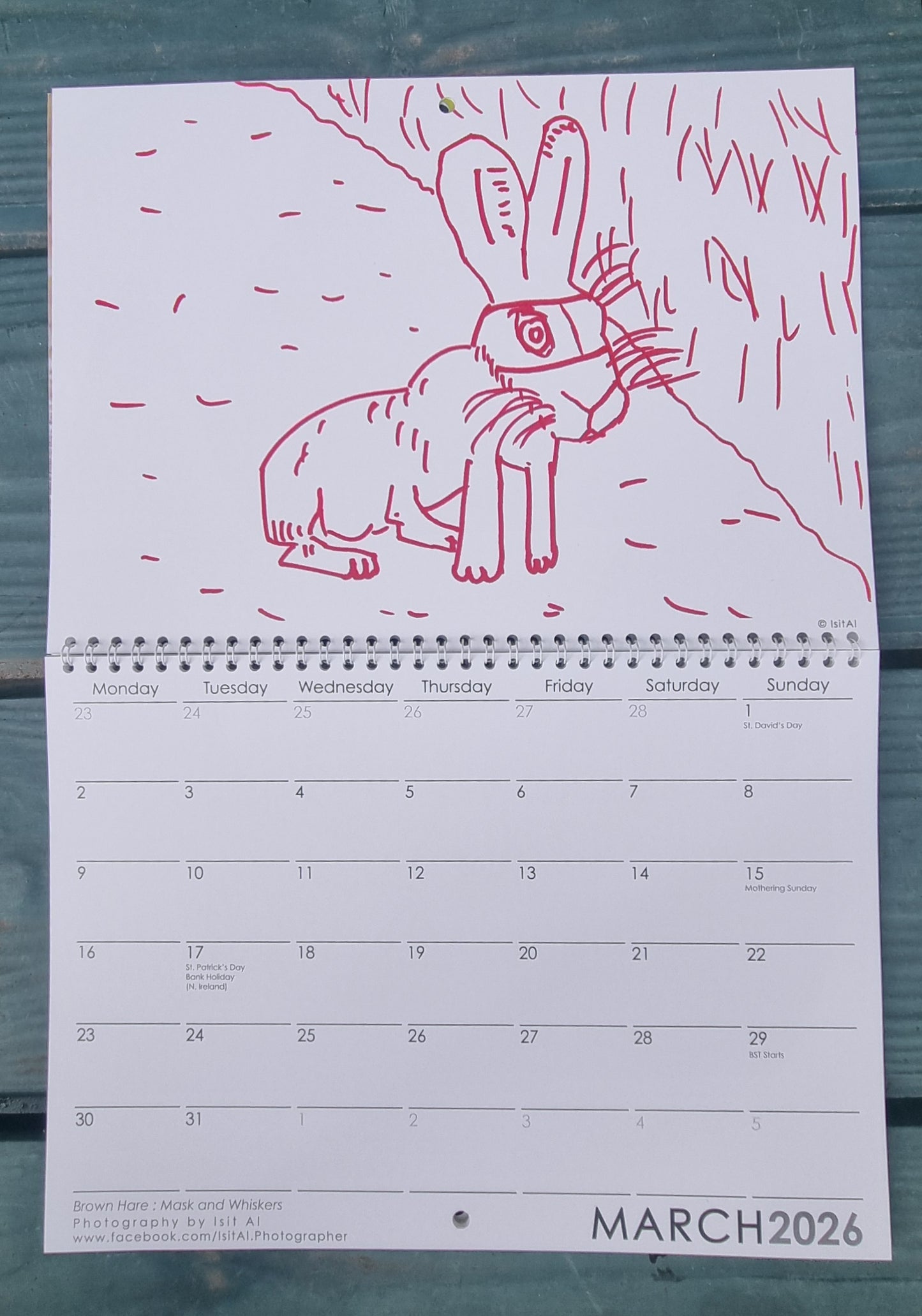 Double Vision Calendar Set 2026