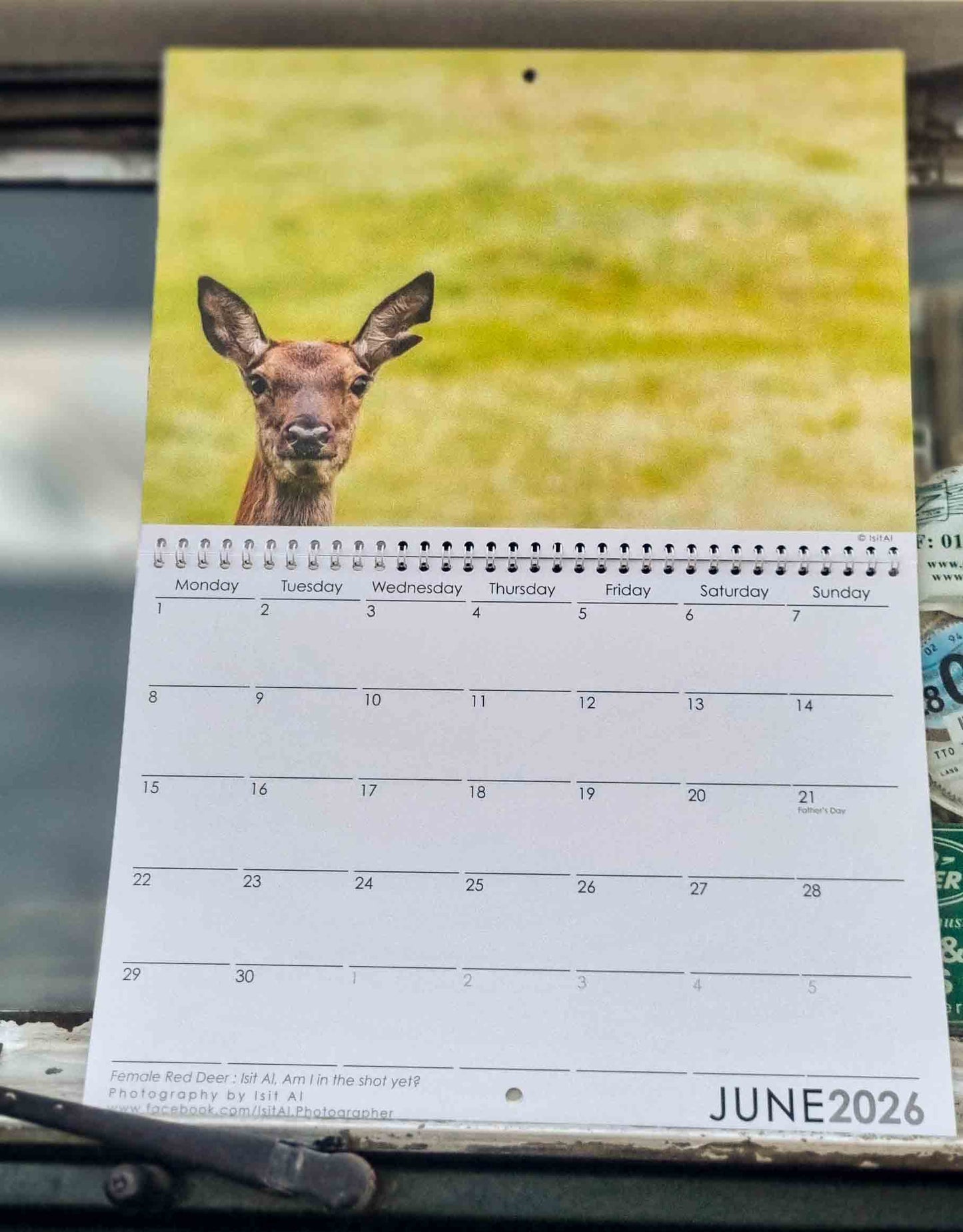 Wildlife Calendar 2026 and Red Pen Calendar 2026