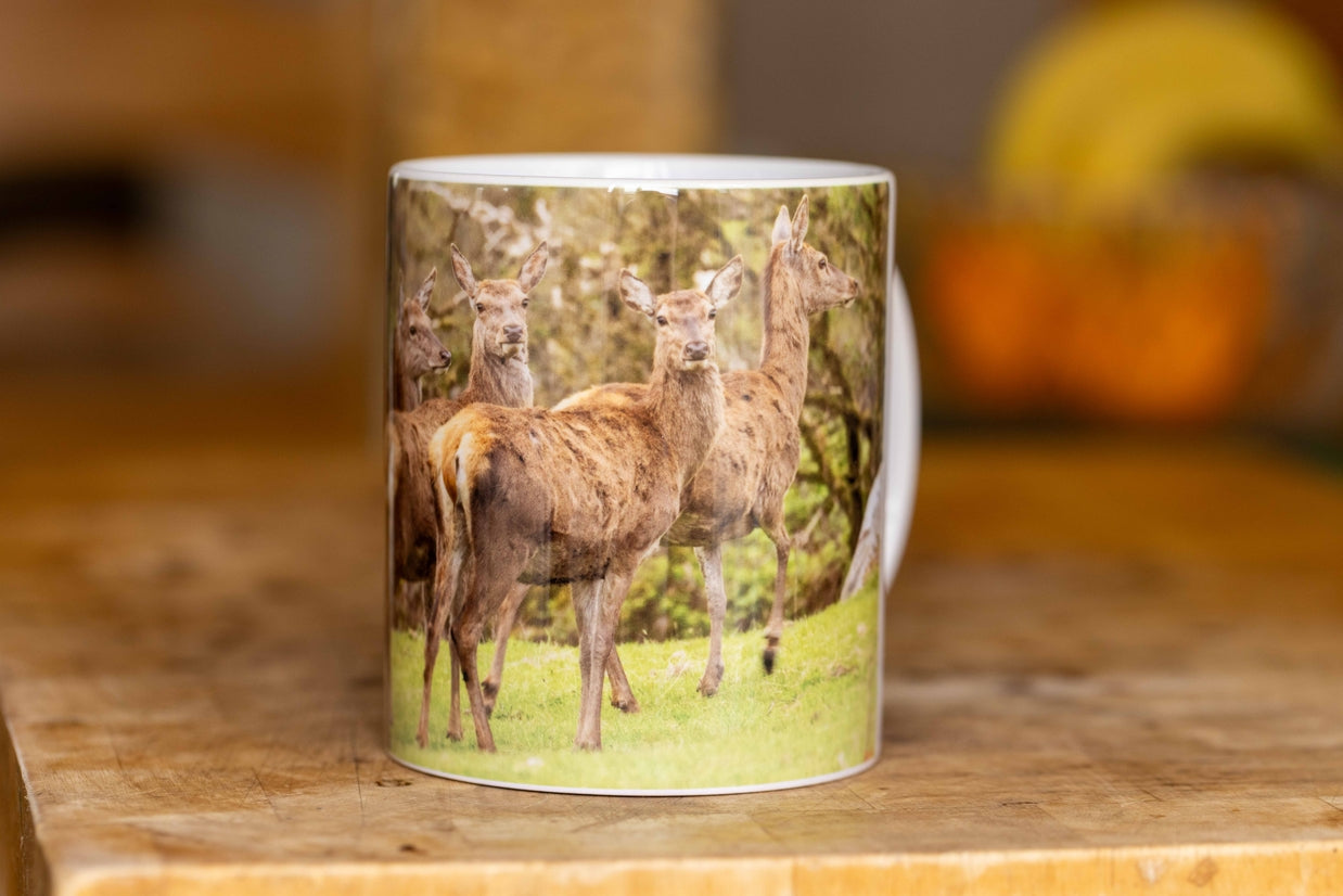 11oz Ceramic Mugs October