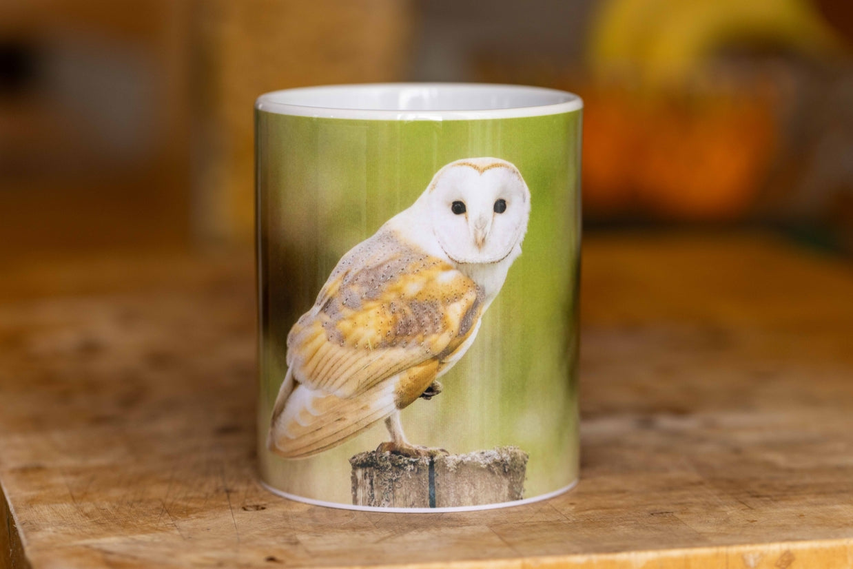 11oz Ceramic Mugs November