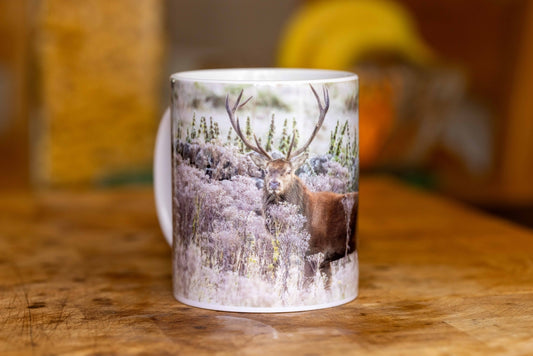 11oz Ceramic Mugs February