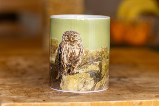 11oz Ceramic Mugs April