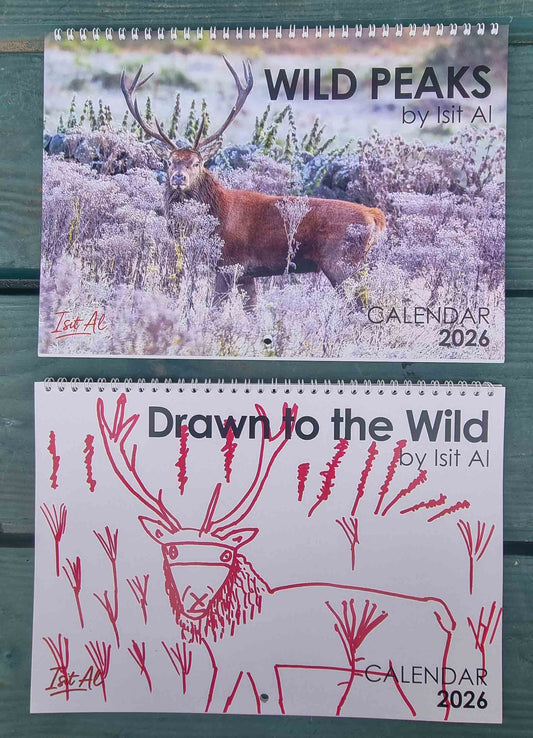 Double Vision Calendar Set 2026